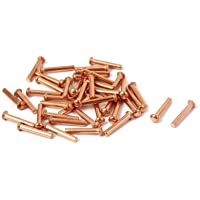PRINDIY 60 Piezas 13 mm Longitud Sujetadores Hardware 2 mm x 12 mm Cabeza Redonda Cobre Remaches sólidos